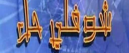 مسلسل شوفلي حل