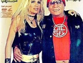 التجربة الدنماركية