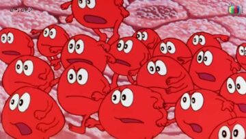 كان يا ما كان الحياة الحلقة 24 الرابعة والعشرون التغذية