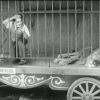 charlie-chaplin-in-the-lions-cage