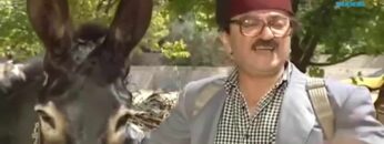 فيلم غوار والحمار