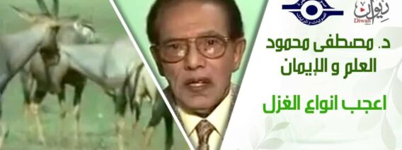 د. مصطفى محمود – العلم والإيمان – اعجب انواع الغزل