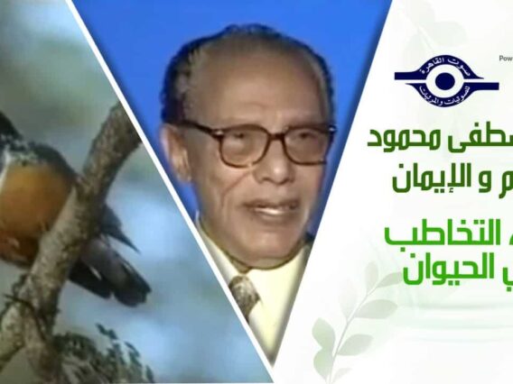 د. مصطفى محمود – العلم والإيمان – لغة التخاطب في الحيوان