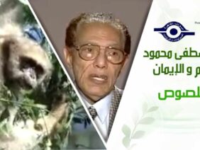 د. مصطفى محمود – العلم والإيمان – اللصوص