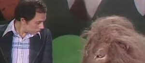 عادل إمام في مسرحية شاهد ماشفش حاجة- أنا بخاف من الكلب، يطلعلي أسد