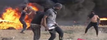 رقصة الحرية الفلسطينية